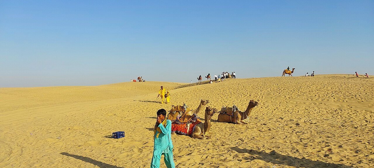 Real photograph of camels and golden Sam Sand Dunes in Thar Desert, Jaisalmer