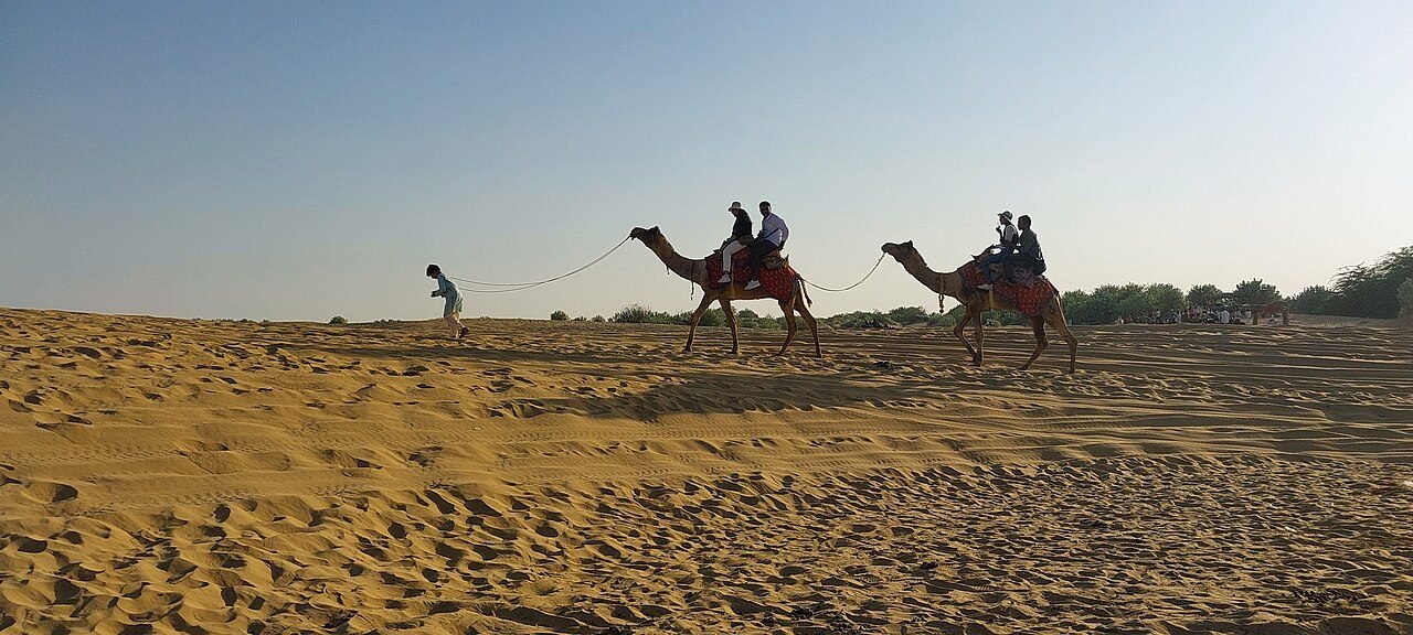 Real photograph of camel rides on Sam Sand Dunes in Jaisalmer, Thar Desert